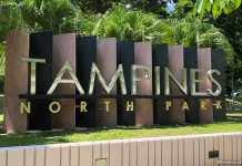 Tampines North Park: Green Space With IPPT Training Space Tampines North Park: Green Space With IPPT Training Space