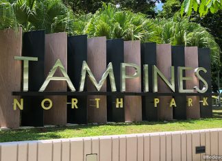 Tampines North Park: Green Space With IPPT Training Space Tampines North Park: Green Space With IPPT Training Space