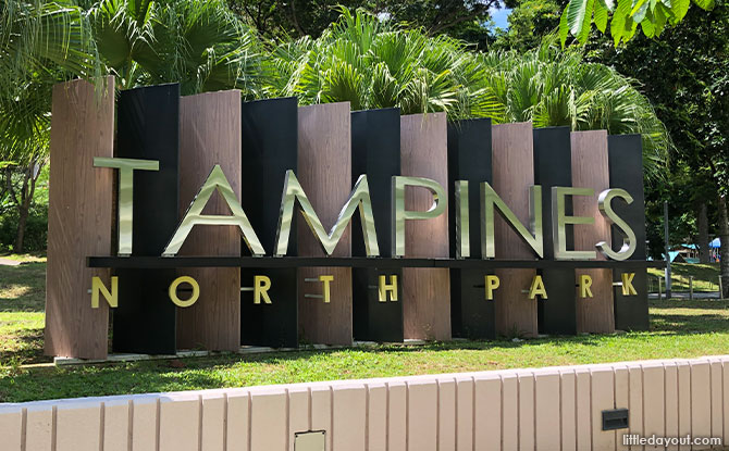 Tampines North Park: Green Space With IPPT Training Space