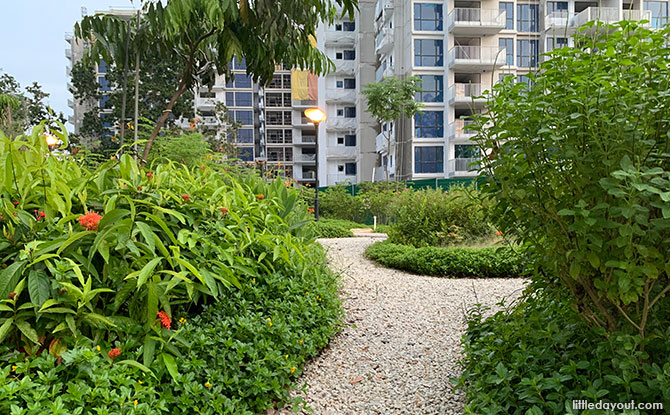 Paths at Tampines Park