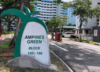 Tampines Green: Park, Playgrounds, Basketball Courts And Community Garden Tampines Green