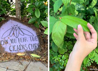 Telok Blangah Hill Park Therapeutic Garden: Well-Being Through Nature Telok Blangah Hill Park Therapeutic Garden