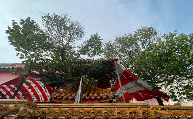 Little Stories: Where To Find a Tempinis Tree In Tampines Little Stories: Where To Find a Tempinis Tree In Tampines