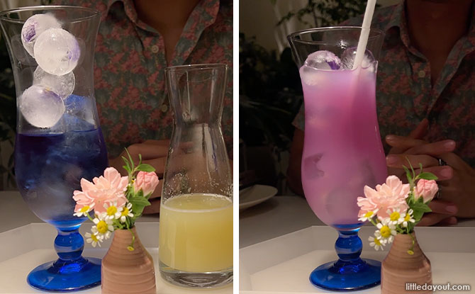 Blue Butterfly Pea Sparkling Soda