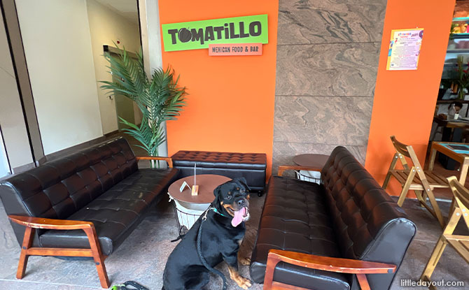 Tomatillo Mexican Food & Bar