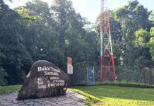 5 Essential Things To Know About Bukit Timah Nature Reserve 01-top-bukit-timah-nature-resreve