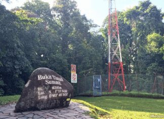 5 Essential Things To Know About Bukit Timah Nature Reserve 01-top-bukit-timah-nature-resreve