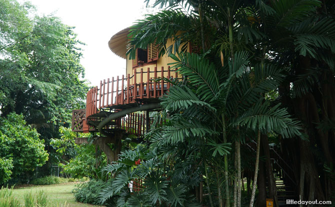 Science Centre Treehouse