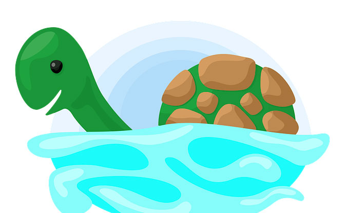 60+ Jokes About Turtles To Laugh About