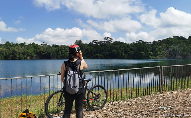 Head Out Cycling at Pulau Ubin