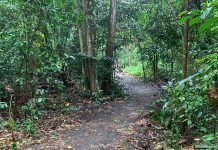 Venus Loop: Boardwalks & Nature Paths At Venus Drive Venus Loop: Boardwalks & Nature Paths At Venus Drive