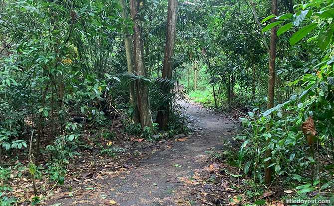 Venus Loop: Boardwalks & Nature Paths At Venus Drive