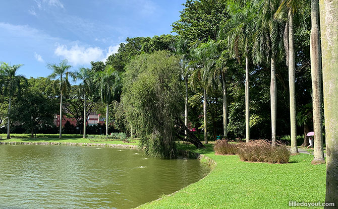 Pond and Fountain