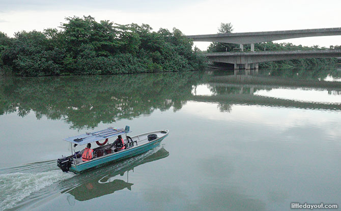 Sengkang Floating Wetland