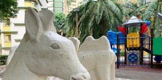 White Animals At The Playground: A Wild Collection in Woodlands