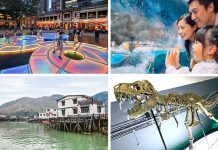 Hong Kong With Kids: Top 10 Unforgettable Family Activities & Attractions For Your Next Trip