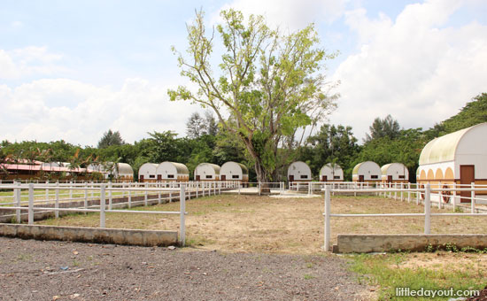 Punggol Ranch