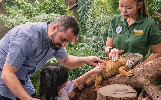 Singapore Zoo Breakfast In The Wild - Interact with Animals during Breakfast at the Zoo