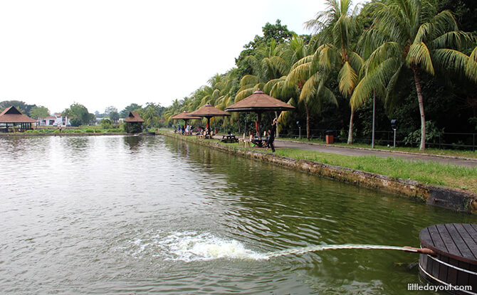 Fishing Pond