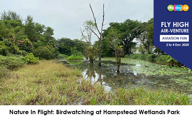 Little Day Out's Fly High Air-venture Camp: Birdwatching at Hampstead Wetlands Park