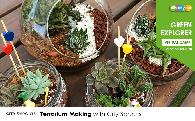 Green Explorer Camp: Terrarium Making by City Sprouts