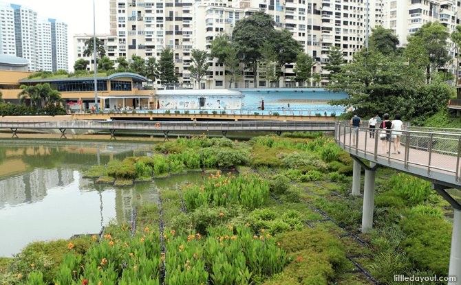 Pang Sua Pond is located next to Senja-Cashew Community Centre