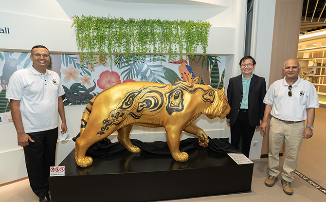 Tribal Gold: Tiger at Choa Chu Kang Public Library