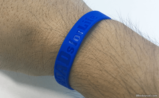 Dads for Life wristband