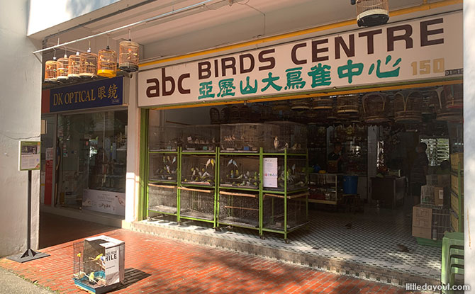 Alexandra Village - ABC Birds Centre