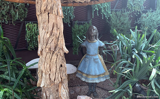 Aloes in Wonderland