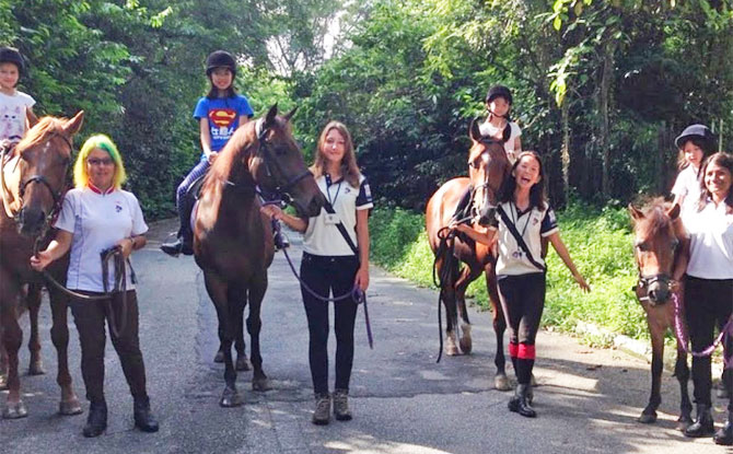 Places To Interact With Animals In Singapore (Besides The Zoo) 1 Gallop Stable