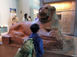 7 Best London Museums For Kids: Educational & Interesting Must-Visit Spots