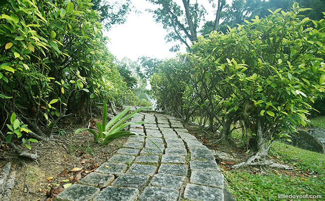 Pathway