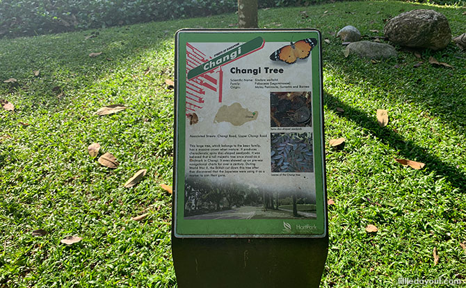 Changi Tree sign