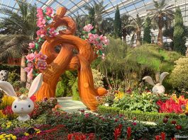 Dahlia Dreams 2023: 100 Rabbits Welcome In CNY At Flower Dome