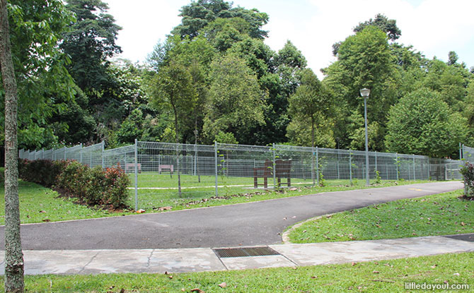 Yishun Park Dog Run