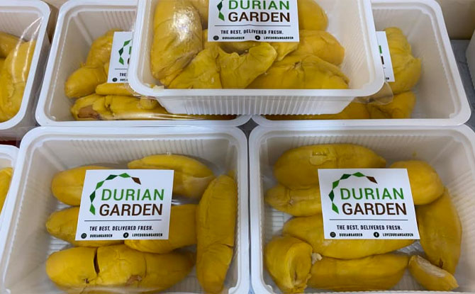 Durian Garden