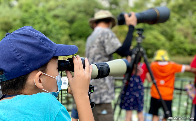 Bird-watching with Birding SG