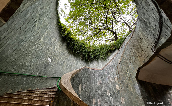 How To Get To The Fort Canning Tree Tunnel