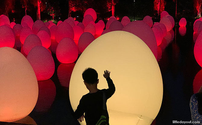 Eggs on Water at Gardens by the Bay