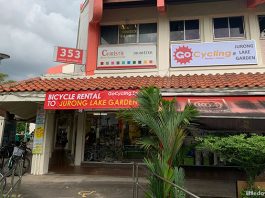 Jurong Lake Gardens Bike Rental