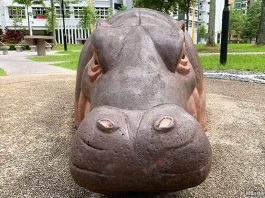 Greenwood Sanctuary @ Admiralty: Hippos In The Park