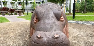 Greenwood Sanctuary @ Admiralty: Hippos In The Park