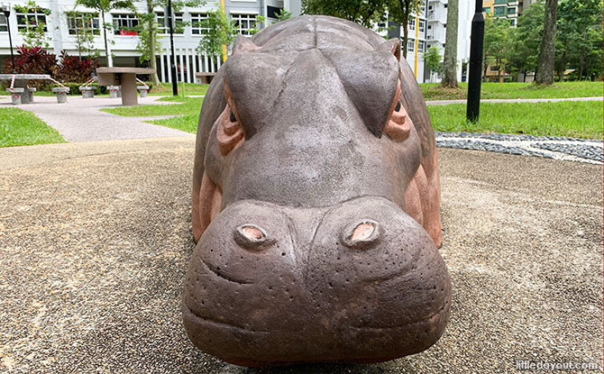 Hippos in the Park at Admiralty
