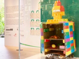 Preschoolers' Imagination Connects People And Nature At "Hello Future" Exhibition, Singapore Botanic Gardens