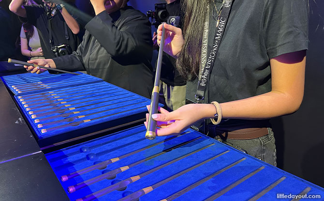 Collecting Your Wand