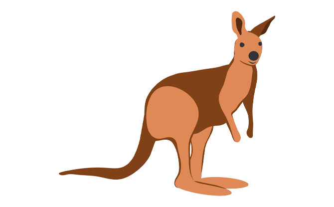 50+ Funny Family-Friendly Kangaroo Jokes