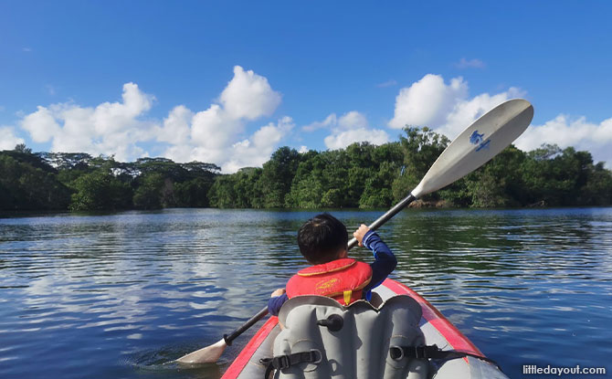 Sungei Khatib Bongsu – See Singapore’s largest mangrove riverine habitat