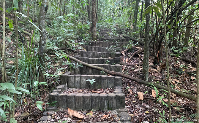 Kent Ridge Park Nature Walk