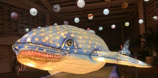 Whale Shark Lantern At Jurong Lake Gardens For The Mid-Autumn Festival 2021